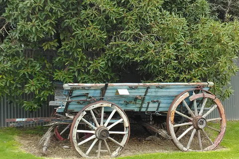 Barossa Valley Wine Tour (4Hour) - Attractions Melbourne 1