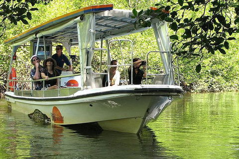 5-Day Best Of Cairns With Daintree, Kuranda, And Great Barrier Reef - Attractions Melbourne 8