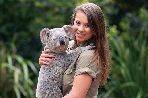 Croc Express To Australia Zoo From Brisbane - Attractions Melbourne 7