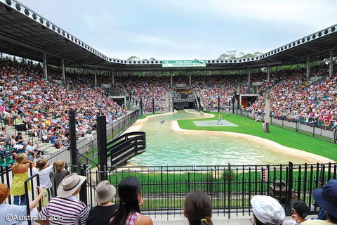 Croc Express To Australia Zoo From Brisbane - Attractions Melbourne 12
