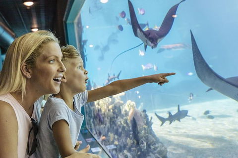 Gold Coast Theme Park Pass: Warner Bros. Movie World, Sea World And Wet'n'Wild - Attractions Melbourne 1