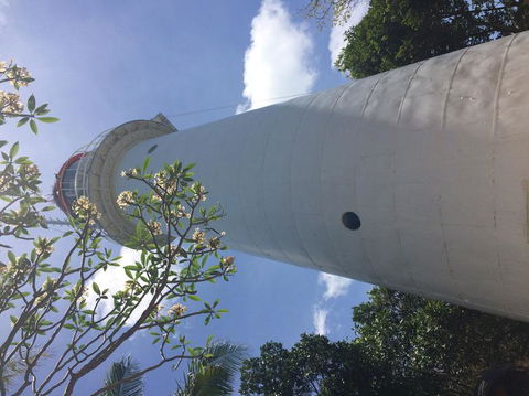 Great Barrier Reef Sailing And Snorkeling Cruise From Port Douglas - Attractions Melbourne 2