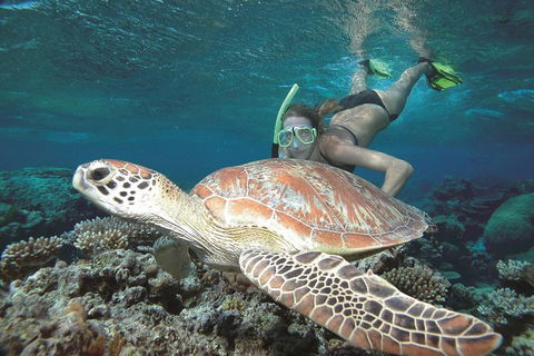 Great Barrier Reef Sailing And Snorkeling Cruise From Port Douglas - Attractions Melbourne 0