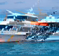 Poseidon Outer Great Barrier Reef Snorkeling and Diving Cruise from Port Douglas - Attractions Melbourne