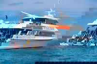 Poseidon Outer Great Barrier Reef Snorkeling and Diving Cruise from Port Douglas