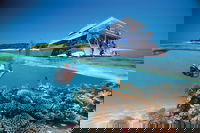 3-Day Southern Great Barrier Reef Tour Including Lady Musgrave Island