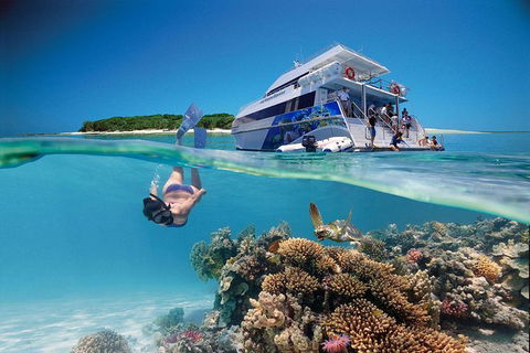 3-Day Southern Great Barrier Reef Tour Including Lady Musgrave Island - Attractions Melbourne 0