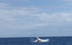 Whitehaven Beach Half-Day Cruises - thumb 4