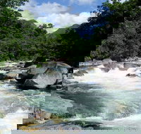 Daintree Rainforest Cape Tribulation Mossman Gorge in a day - Attractions Melbourne