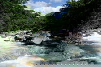 Daintree Rainforest Cape Tribulation Mossman Gorge in a day