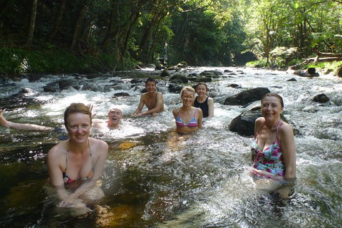 Daintree Rainforest, Cape Tribulation, Mossman Gorge In A Day - Attractions Melbourne 10