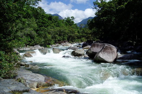 Daintree Rainforest, Cape Tribulation, Mossman Gorge In A Day - Attractions Melbourne 2