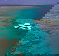 Silversonic Outer Great Barrier Reef Dive and Snorkel Cruise from Port Douglas - Attractions Melbourne
