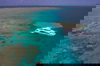 Silversonic Outer Great Barrier Reef Dive and Snorkel Cruise from Port Douglas