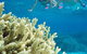 Silversonic Outer Great Barrier Reef Dive And Snorkel Cruise From Port Douglas - thumb 1