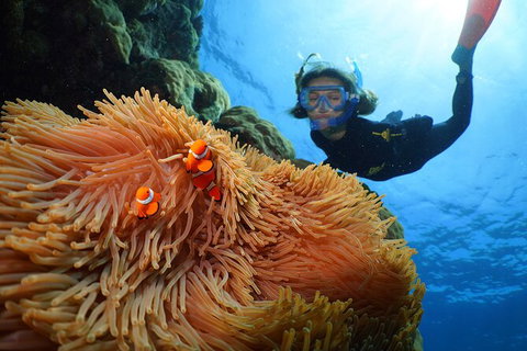 Silversonic Outer Great Barrier Reef Dive And Snorkel Cruise From Port Douglas - Attractions Melbourne 3