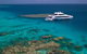 Silversonic Outer Great Barrier Reef Dive And Snorkel Cruise From Port Douglas - thumb 2