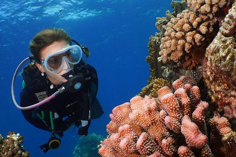Silversonic Outer Great Barrier Reef Dive And Snorkel Cruise From Port Douglas - Attractions Melbourne 5