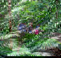 Full Day Daintree Rainforest and Mossman Gorge Tour - Attractions Melbourne