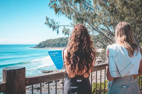 Sunshine Coast Hinterland And Noosa Day Trip From Brisbane Including Eumundi Markets And Ginger Factory - Attractions Melbourne 9