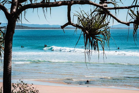 Sunshine Coast Hinterland And Noosa Day Trip From Brisbane Including Eumundi Markets And Ginger Factory - Attractions Melbourne 8