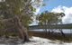 North Stradbroke Island Day Trip From Brisbane - thumb 14