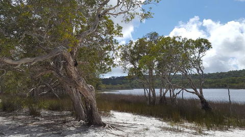 North Stradbroke Island Day Trip From Brisbane - Attractions Melbourne 14