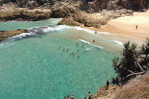 North Stradbroke Island Day Trip From Brisbane - Attractions Melbourne 1