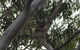 North Stradbroke Island Day Trip From Brisbane - thumb 11