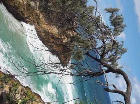 North Stradbroke Island Day Trip From Brisbane - Attractions Melbourne 16