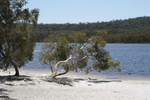 North Stradbroke Island Day Trip From Brisbane - Attractions Melbourne 24