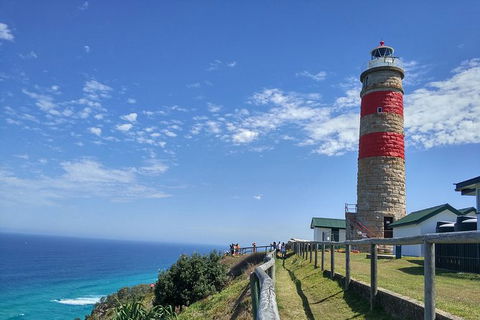 Cape Moreton Scenic 4WD Day Tour From Brisbane Or The Gold Coast - Attractions Melbourne 6
