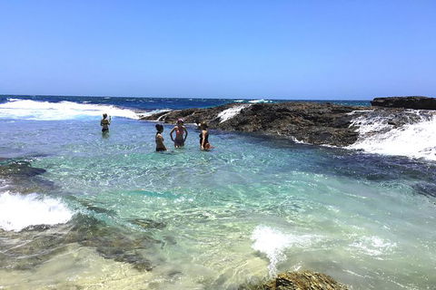 Cape Moreton Scenic 4WD Day Tour From Brisbane Or The Gold Coast - Attractions Melbourne 3