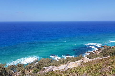 Cape Moreton Scenic 4WD Day Tour From Brisbane Or The Gold Coast - Attractions Melbourne 7