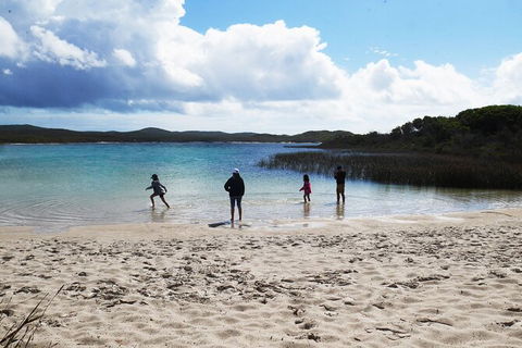 Cape Moreton Scenic 4WD Day Tour From Brisbane Or The Gold Coast - Attractions Melbourne 5