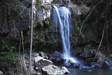 You Choose The Tour: Brisbane Private Chauffeur Driven Personal Tour - Attractions Melbourne 0