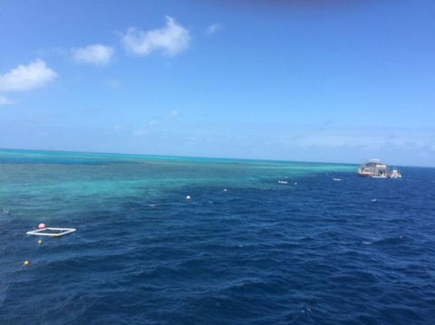 Great Barrier Reef Day Cruise To Reefworld - Attractions Melbourne 8