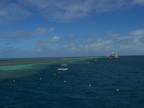 Great Barrier Reef Day Cruise To Reefworld - Attractions Melbourne 15
