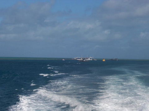 Great Barrier Reef Day Cruise To Reefworld - Attractions Melbourne 22