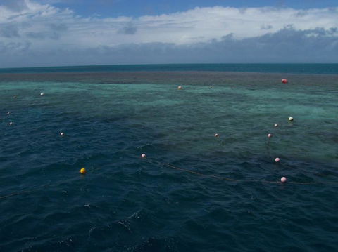 Great Barrier Reef Day Cruise To Reefworld - Attractions Melbourne 16