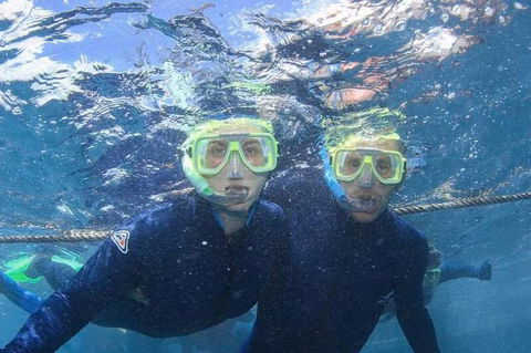 Great Barrier Reef Day Cruise To Reefworld - Attractions Melbourne 3