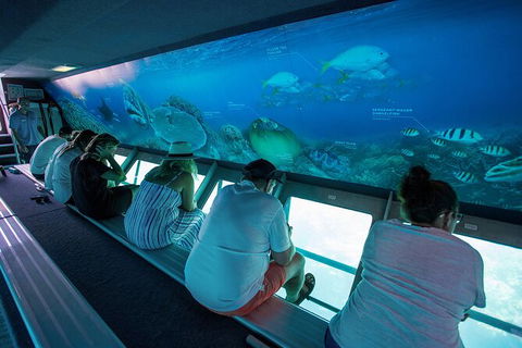 Great Barrier Reef Day Cruise To Reefworld - Attractions Melbourne 28