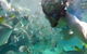 Moreton Island Snorkel And Sandboarding 4WD Day Trip From Brisbane - thumb 7