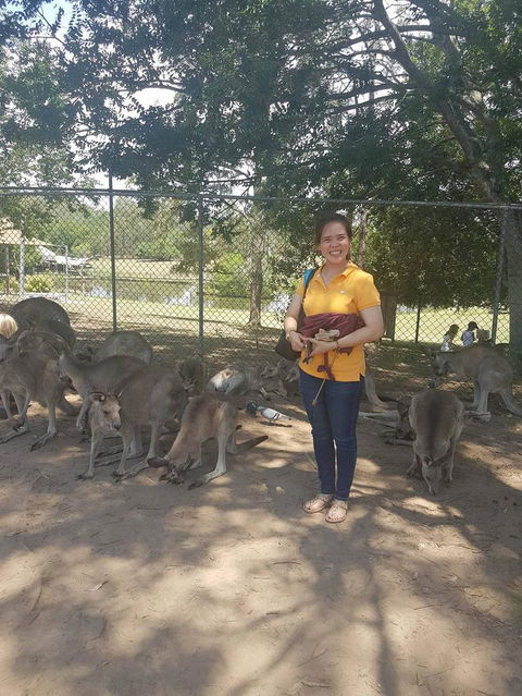 Lone Pine Koala Sanctuary Admission With Brisbane River Cruise - Attractions Melbourne 17