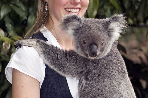 Lone Pine Koala Sanctuary Admission With Brisbane River Cruise - Attractions Melbourne 1