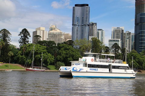 Lone Pine Koala Sanctuary Admission With Brisbane River Cruise - Attractions Melbourne 32