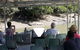 Whitsunday Crocodile Safari Including Lunch - thumb 13