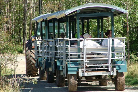 Whitsunday Crocodile Safari Including Lunch - Attractions Melbourne 6