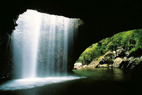 World Heritage Springbrook National Park Tour Including Natural Bridge - Attractions Melbourne 0