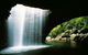 World Heritage Springbrook National Park Tour Including Natural Bridge - thumb 2
